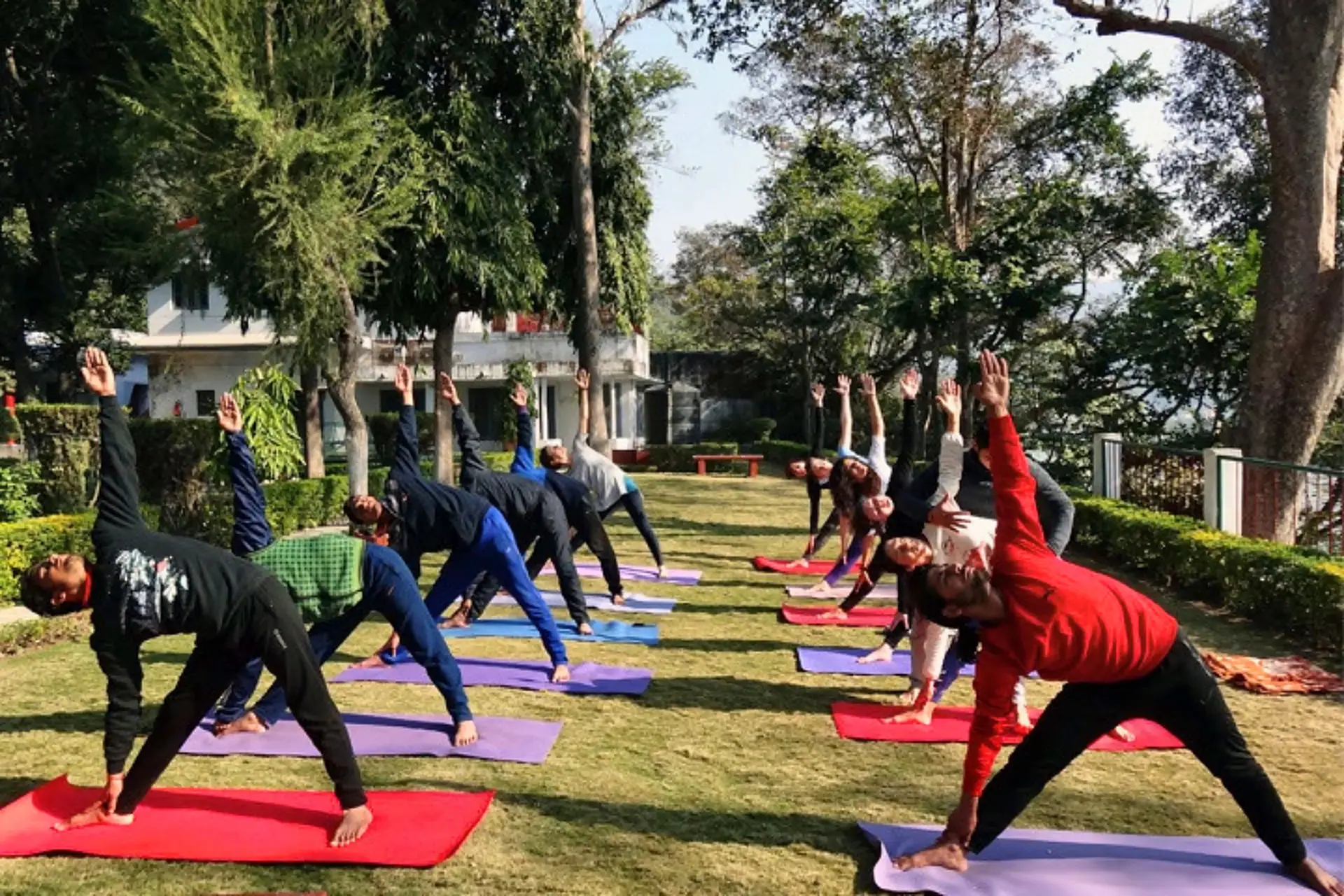 Group triangle pose during the yoga and pranayama retreat